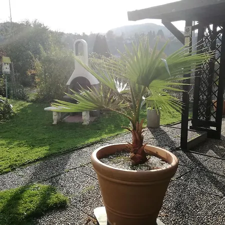 Apartment Moselblick *