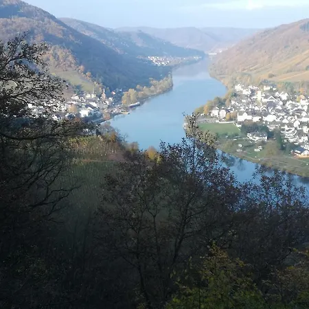 Moselblick *