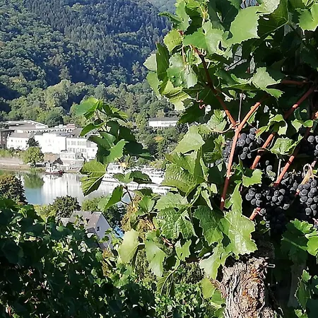 Apartment Moselblick