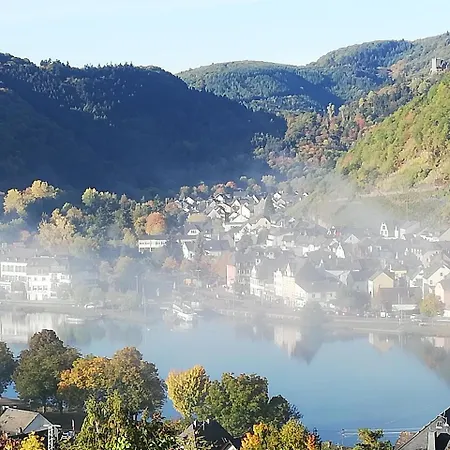 Moselblick *